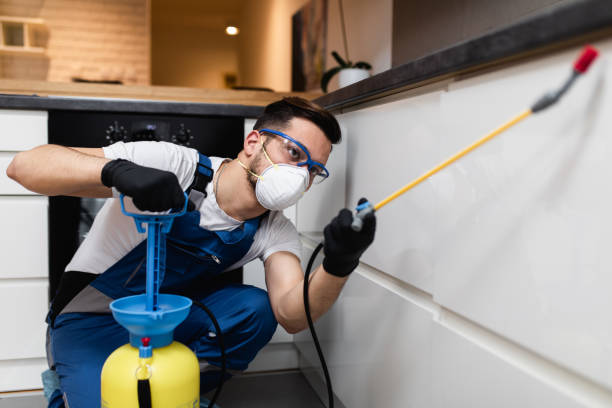 Professional Pest Control in Mahtomedi, MN