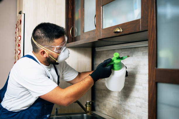 Best Exterminator Services  in Mahtomedi, MN