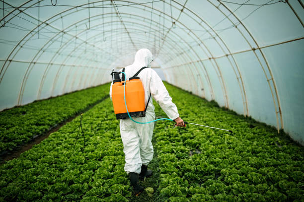 Best Affordable Pest Control Services  in Mahtomedi, MN