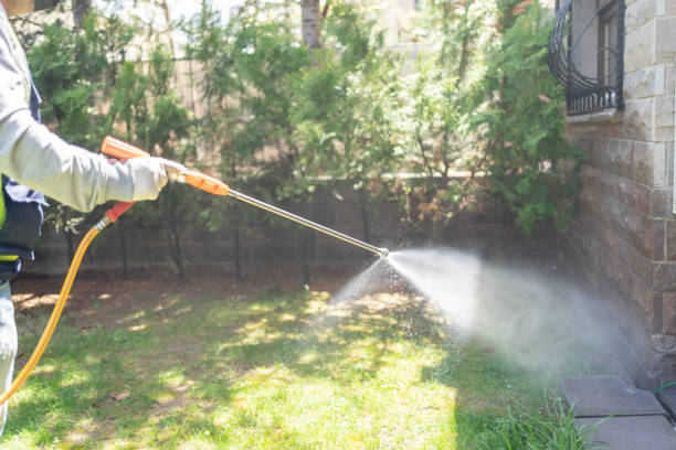 Flea Control Services in Mahtomedi, MN